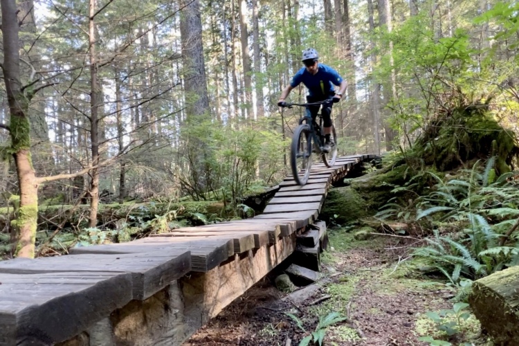 A mountain biker rides across a wooden bridge in a lush forest filled with tall trees and greenery. The cyclist is captured in mid-air as they navigate the bridge, showcasing an adventurous outdoor scene.