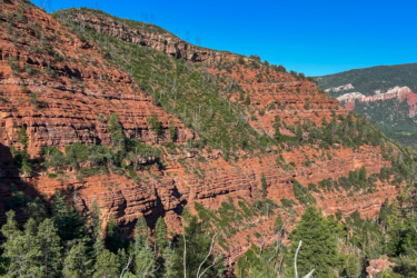 A scenic view of layered red rock formations, with patches of greenery and tall pine trees, under a clear blue sky. The terrain features steep cliffs and ridges, showcasing the natural beauty of the landscape. Haflin Creek mountain bike trail.