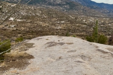 A rocky terrain with a flat surface in the foreground, leading to a vast landscape of dry shrubs and cacti, set against a backdrop of rugged mountains under a cloudy sky. 50-year Trail / Golder Ranch mountain bike trail.