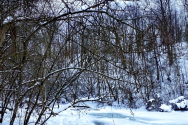 A winter landscape featuring a snowy path alongside a partially frozen river. Leafless trees and branches surround the scene, creating a tranquil atmosphere under a cloudy sky. The pathway, marked by footprints, invites exploration into the serene, wintry environment. Western University trails mountain bike trail.