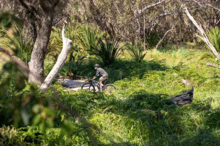 A mountain biker navigating a scenic trail surrounded by lush greenery and trees in a natural landscape.