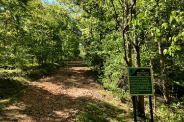 A dirt path winding through a lush green forest, with trees providing a canopy overhead. There is a sign titled "The President Bush Push" on the right side of the path, detailing a historical event involving President George H. W. Bush. The scene is bright and sunny, highlighting the natural beauty of the surroundings. President Bush Push mountain bike trail.