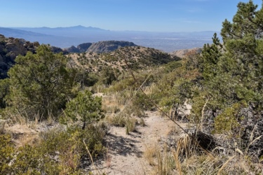 A scenic view of a mountainous landscape featuring rocky outcrops and lush vegetation. The foreground shows a dirt trail winding through grasses and shrubs, leading to a distant range of mountains under a clear blue sky. The expansive valley below is visible in the background, showcasing a vast, open terrain. Milagrosa / Molino Basin mountain bike trail.