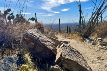 A rocky pathway in a desert landscape, featuring dry grasses and cacti under a bright blue sky with scattered clouds. In the background, a distant view of rolling hills can be seen. Milagrosa / Molino Basin mountain bike trail.