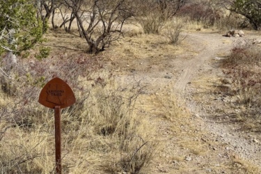 Rustic sign for the Arizona Trail stands on the left, surrounded by sparse vegetation and dry grass. In the background, a dirt path forks into two directions, indicating a trailhead in a natural landscape. Milagrosa / Molino Basin mountain bike trail.