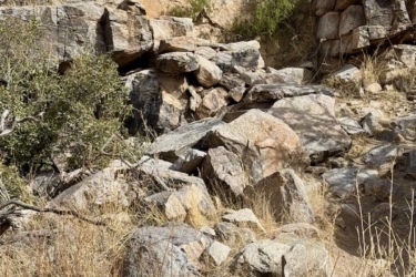Rocky terrain featuring various sizes of stones and dry grasses, with some cacti and shrubs visible among the rocks. The landscape is natural and rugged, typical of a desert or arid environment. Milagrosa / Molino Basin mountain bike trail.