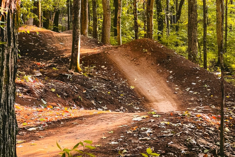 A dirt bike path winding through a wooded area, featuring dirt jumps and surrounded by trees. The ground is covered with fallen leaves, and the sunlight filters through the foliage, creating a serene, natural atmosphere.