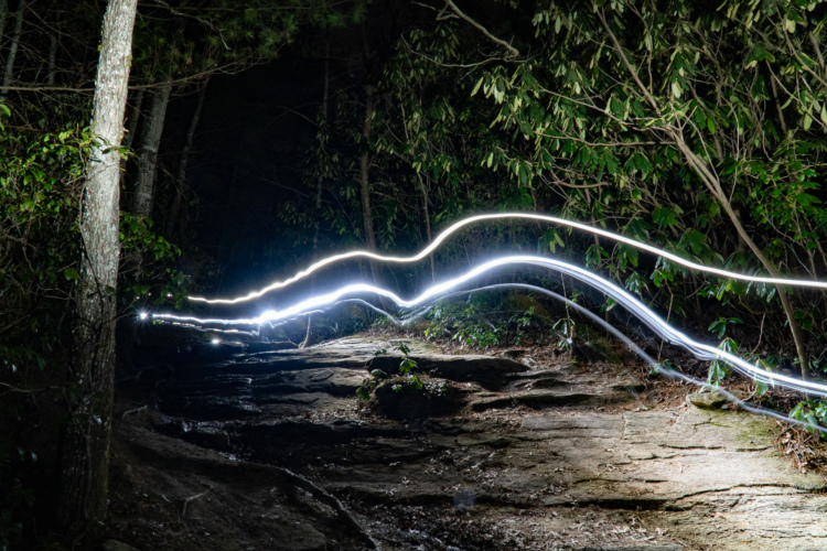 A dimly lit forest path at night, featuring smooth, glowing light trails weaving through the scene, illuminating the rocky terrain and surrounded by dense greenery.