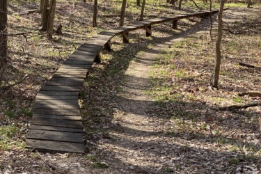 Wooden boardwalk winding through a forest trail, surrounded by leafless trees and patches of green grass. The path is partially covered with dried leaves, indicating a natural setting in early spring. Eagle Rock Mountain Bike Trail mountain bike trail.