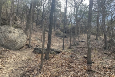 A winding dirt trail leads through a wooded area, with leaf-covered ground and scattered large rocks. The background features a mix of bare and leafed trees under a partly cloudy sky. Eagle Rock Mountain Bike Trail mountain bike trail.