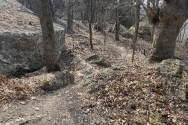 A natural pathway winding through a rocky area, surrounded by bare trees and scattered leaves on the ground, with a clear blue sky visible above. Eagle Rock Mountain Bike Trail mountain bike trail.