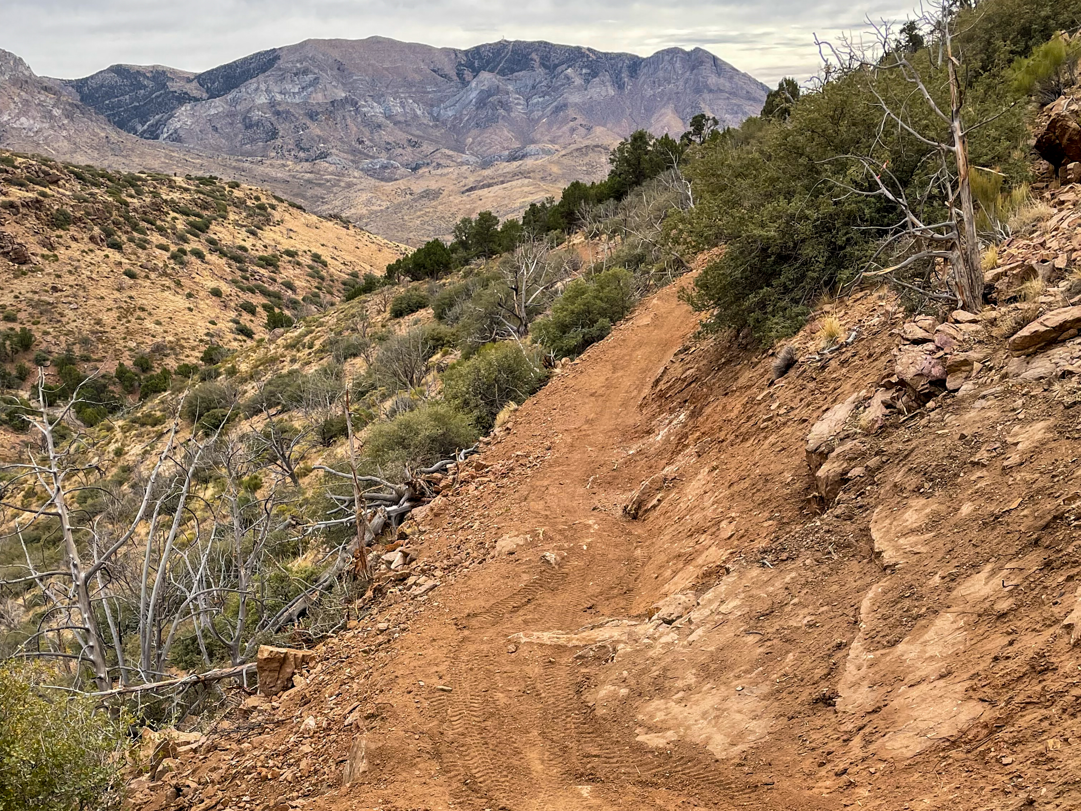 A winding dirt trail surrounded by sparse vegetation and rocky terrain, leading towards distant, rugged mountains under a cloudy sky. Hell Hole mountain bike trail.