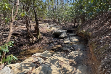 A rocky path winding through a wooded area, with sunlight filtering through the trees. The ground is covered with fallen leaves, and a small stream runs alongside the path, surrounded by greenery. Butter Gap / Trail #123 mountain bike trail.