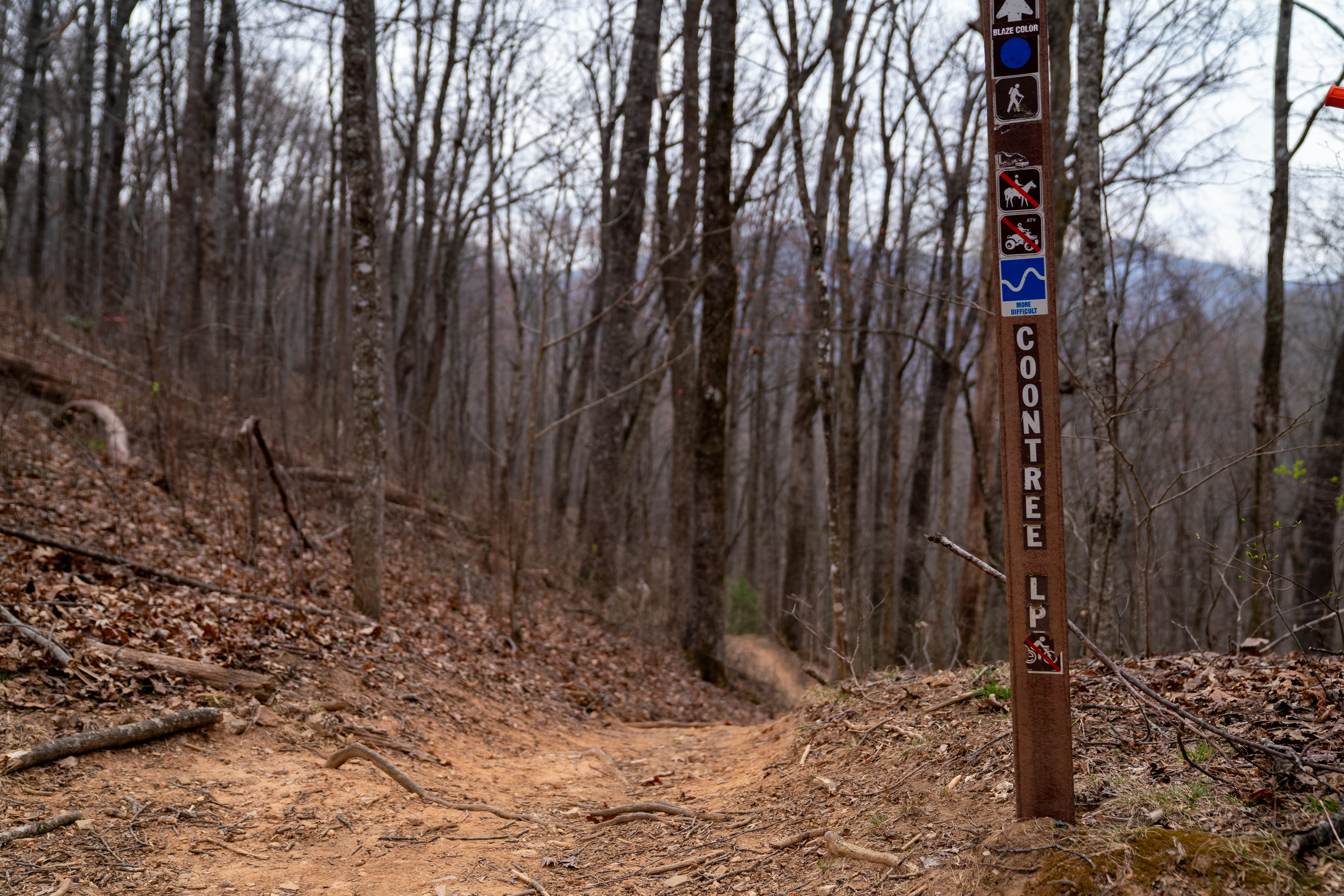 Alt text: A dirt hiking trail winding through a forest, with a signpost indicating the "Cootree Loop." The sign features various trail markers, including symbols for hiking and biking, surrounded by bare trees and fallen leaves. Coontree mountain bike trail.