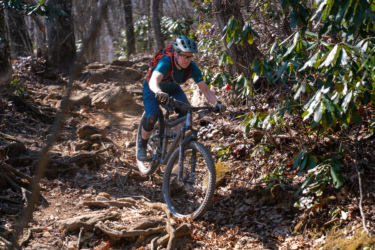 A mountain biker navigating a rocky trail surrounded by trees and foliage. The cyclist is wearing a helmet and protective gear while riding a gray bicycle, focused on the terrain ahead. Sunlight filters through the branches, casting dappled light on the ground. Farlow Gap mountain bike trail.