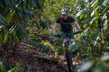 A person riding a mountain bike through a lush, green forest trail surrounded by dense foliage and sunlight filtering through the leaves. The rider is wearing a helmet and a hydration pack, focused on navigating the uneven terrain. Laurel Mountain mountain bike trail.