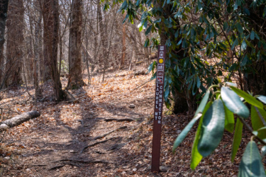 A wooden trail sign marking the Laurel Mountain Connector trail, surrounded by bare trees and shrubs. The sign features symbols for hiking, biking, and trail directions, with a forest floor covered in fallen leaves and twigs. Laurel Mountain mountain bike trail.