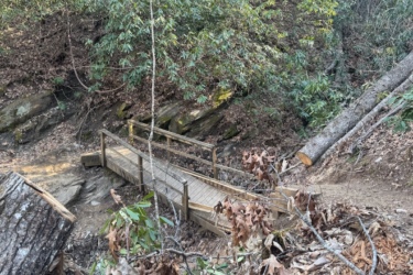 A wooden bridge over a small creek in a wooded area, surrounded by rocky terrain and fallen leaves. Nearby, a large fallen tree and various plants can be seen, indicating a natural, rugged landscape.