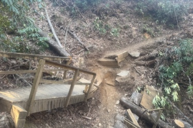 A wooden bridge crossing a small ravine is visible in a wooded area. The surrounding terrain is covered with dry leaves, rocks, and fallen logs, while lush green foliage is seen in the background. A faint dirt path diverges from the bridge, leading further into the forest.