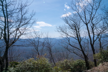 A panoramic view of a mountainous landscape under a clear blue sky, framed by bare trees in the foreground. The distant mountains are partially shrouded in a light haze, and the scene conveys a sense of tranquility in nature. Pilot Rock mountain bike trail.