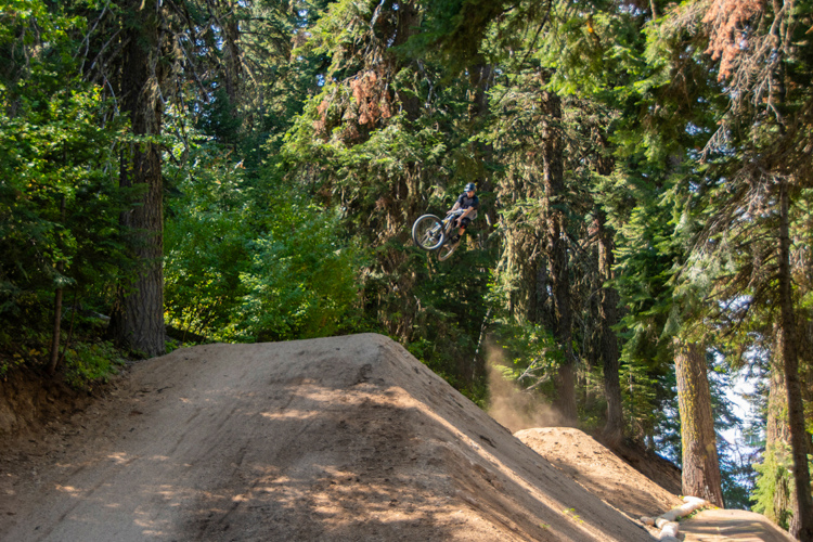 A person riding a mountain bike performs a jump over a dirt ramp in a wooded area, surrounded by tall trees and greenery. Dust is kicked up from the ramp as the biker is airborne, showcasing an action-packed moment in a natural setting.