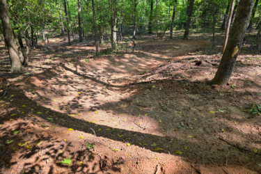 A dirt trail winding through a lush, green forest, with sunlight casting shadows on the ground. The trail is bordered by trees and features a small, raised path that suggests a bike or walking route. Fallen leaves are scattered along the trail, indicating the season.