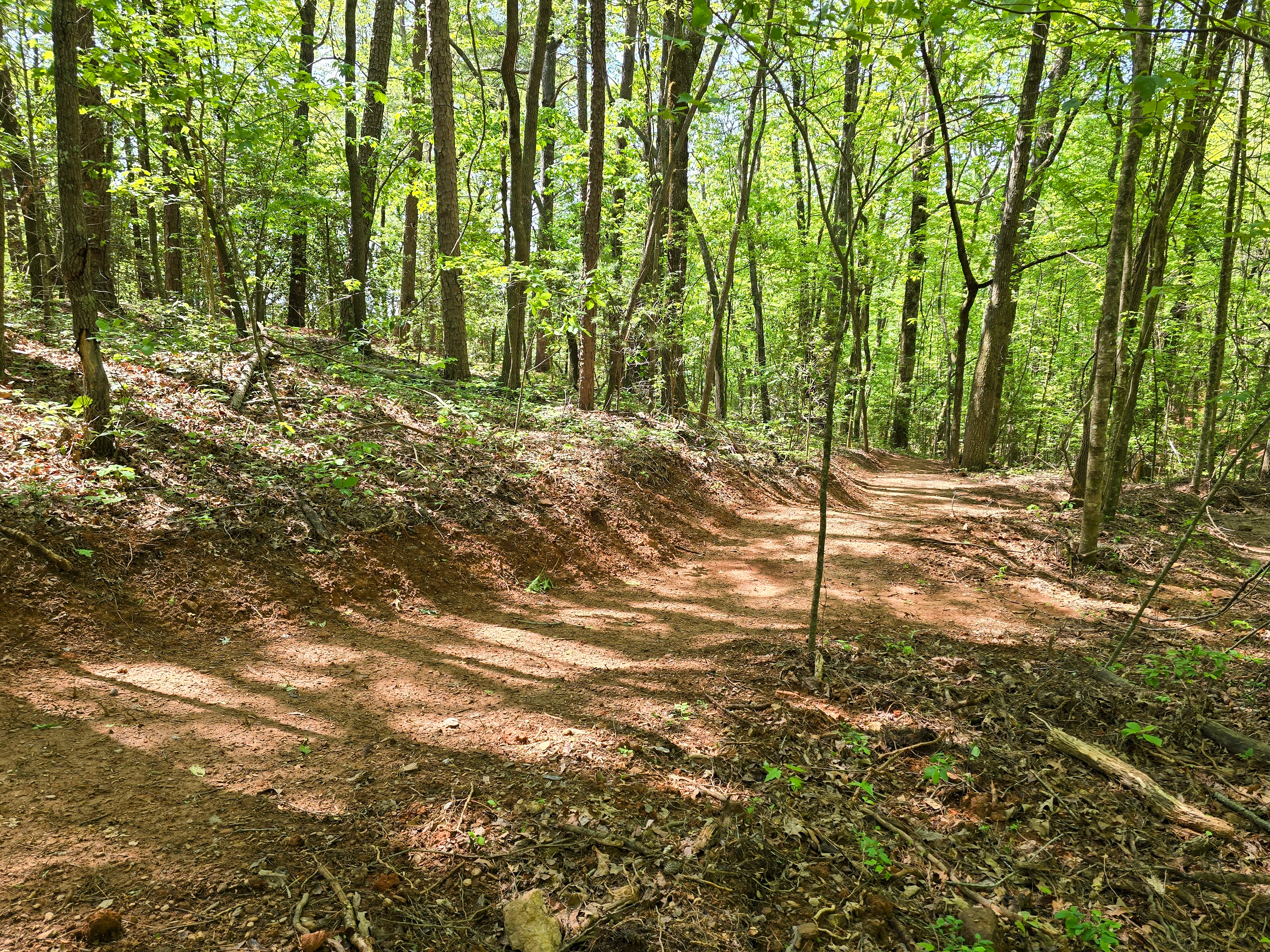 A winding dirt path through a lush green forest, surrounded by tall trees and dappled sunlight filtering through the leaves. The ground is covered with brown earth and patches of fallen leaves. Styles Park mountain bike trail.