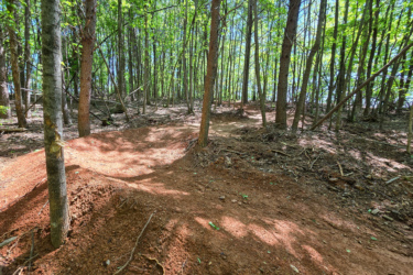 A forested area featuring a dirt path that winds through tall trees, with a clear blue sky visible above. The ground is covered in reddish-brown earth, with scattered leaves and branches. Sunlight filters through the foliage, creating a dappled light effect on the trail. Styles Park mountain bike trail.