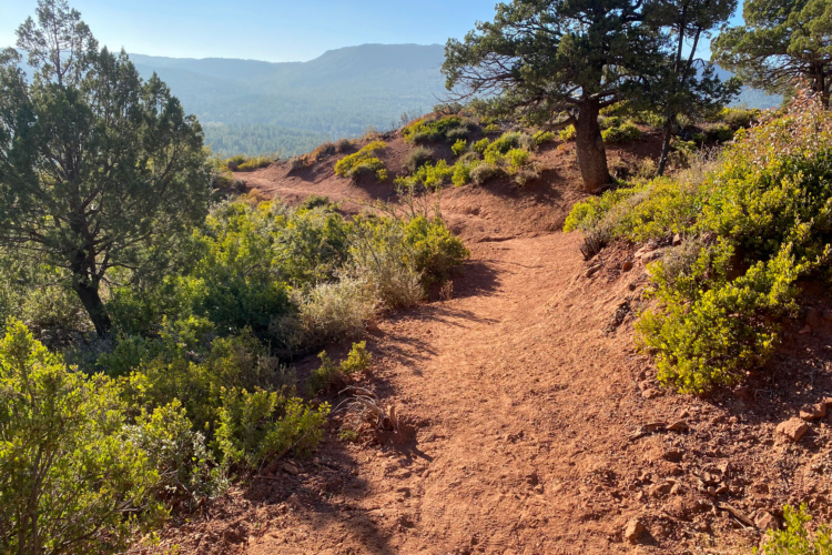 A winding dirt path surrounded by greenery and trees, leading towards a mountainous landscape under a clear blue sky.