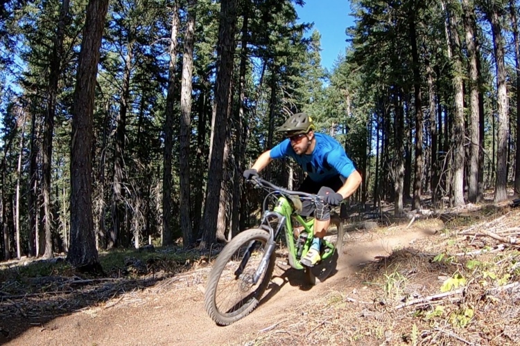 A mountain biker in a blue shirt and helmet leans into a turn on a dirt trail surrounded by tall trees, with sunlight filtering through the foliage. The bike is green, and dust is kicked up behind the tires.