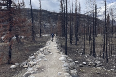 A narrow, rocky path meanders through a landscape marked by charred trees and sparse vegetation under a cloudy sky. In the distance, a person is walking along the trail, surrounded by the remnants of a forest fire. 12 to 5 to 5 / Valley of the Five Lakes and Wabasso Lake mountain bike trail.