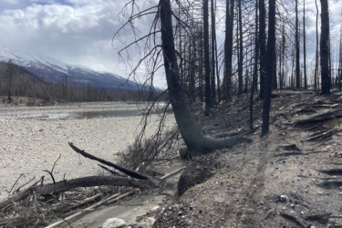 A landscape showing a riverbank affected by wildfire, with charred trees and a rocky shoreline. Mountains are visible in the background under a cloudy sky. The scene depicts the aftermath of a fire, highlighting the stark contrast between the blackened trees and the natural features of the environment. 12 to 5 to 5 / Valley of the Five Lakes and Wabasso Lake mountain bike trail.