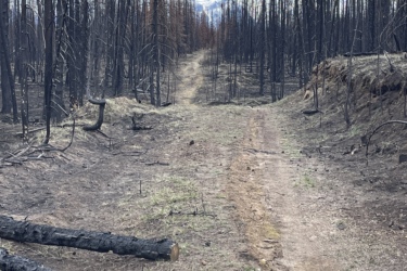 A narrow dirt path winds through a forest of blackened, charred trees, remnants of a recent wildfire. Some fallen logs lie on the ground, and patches of green grass emerge in the scorched earth. In the distance, snow-capped mountains can be seen beneath a cloudy sky. 12 to 5 to 5 / Valley of the Five Lakes and Wabasso Lake mountain bike trail.