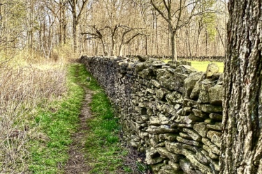 A narrow dirt path lined with a rustic stone wall, surrounded by trees in early spring. The trees are mostly bare, with hints of budding leaves. The scene conveys a sense of tranquility in a natural woodland setting. Rockcliffe Waterdown mountain bike trail.