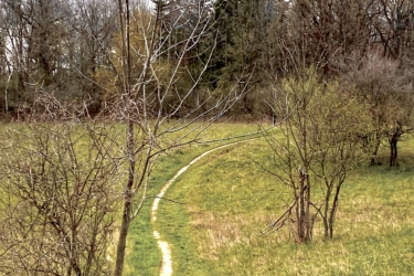 A winding dirt path cuts through a grassy field, bordered by sparse trees, under a cloudy sky. The scene captures a tranquil, natural landscape with hints of early spring. Komoka Trails mountain bike trail.