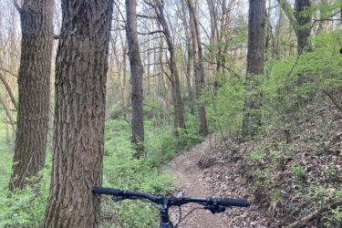 A view of a narrow, winding dirt trail surrounded by tall trees and budding green foliage, with a mountain bike in the foreground. The setting is a peaceful forest during early springtime, showcasing nature's tranquility. Warnaar Trail mountain bike trail.