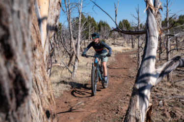A cyclist riding a mountain bike on a dirt trail surrounded by bare trees and dry grassland. The rider wears a helmet and sunglasses and appears focused as they navigate the trail under a clear blue sky. Cliffrose Trail System mountain bike trail.