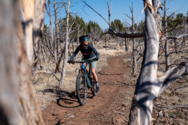 A person riding a mountain bike on a dirt trail surrounded by dry trees in a sunny landscape. The rider wears a helmet and sunglasses, enjoying the ride while looking upwards, with a smile on their face. Cliffrose Trail System mountain bike trail.