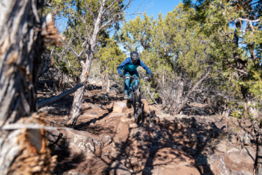 A mountain biker navigating along a rocky trail in a forested area, surrounded by trees and blue sky. The rider is in motion, jumping over rocks on the path. Cliffrose Trail System mountain bike trail.