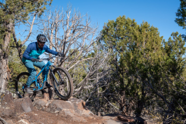 A mountain biker navigating a rocky trail in a forested area, wearing a helmet and blue riding gear, with trees and a clear blue sky in the background. Cliffrose Trail System mountain bike trail.