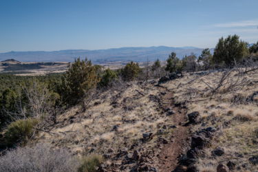 A winding dirt path leads through a rocky hillside, surrounded by scattered shrubs and trees. In the background, expansive mountain ranges and a clear blue sky are visible, suggesting a serene and remote outdoor landscape. Cliffrose Trail System mountain bike trail.