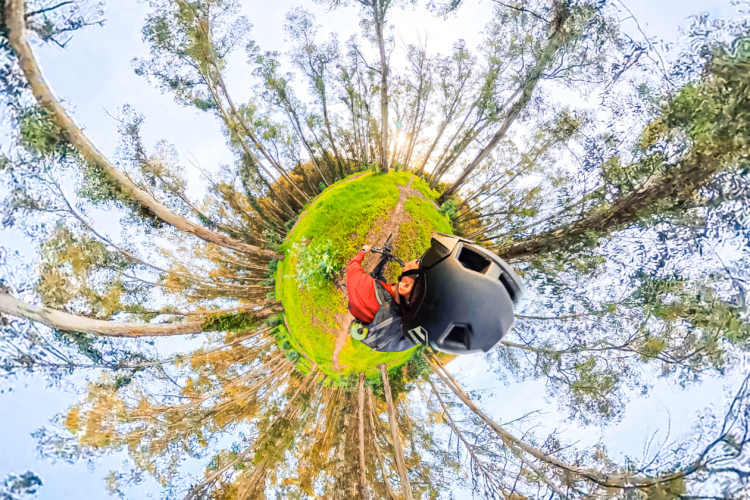 A panoramic view of a forest landscape, featuring tall trees surrounding a green clearing. In the foreground, a person wearing a helmet and a red jacket is visible, holding a bicycle. The scene is bathed in soft natural light, creating a serene atmosphere.