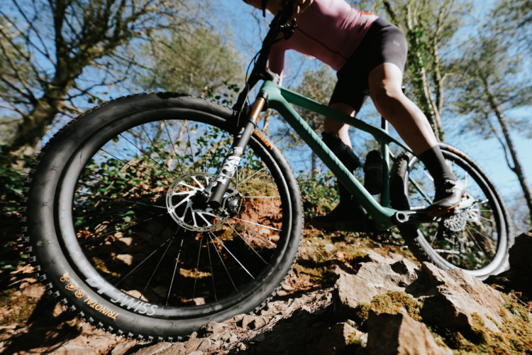 A cyclist navigating a rocky, wooded trail on a mountain bike, with a focus on the bike's wheel and the terrain. Sunlight filters through the trees, highlighting the lush greenery and the cyclist's athletic gear.