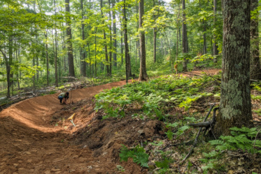 A forested area with tall trees and lush green underbrush. In the foreground, a person is kneeling by a newly constructed dirt trail, shaping the path with tools. The scene is peaceful, showcasing sunlight filtering through the leaves, highlighting the natural environment and the trailwork being done. Pine Mountain Resort mountain bike trail.