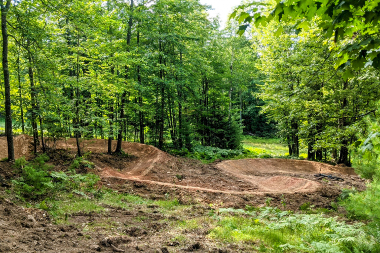 A dirt bike trail carved through a lush forest, featuring two winding berms and a grassy area surrounded by trees. The scene is bright and green, indicating a vibrant, natural setting.
