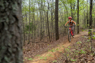 A mountain biker riding on a dirt trail through a lush, green forest. The cyclist is wearing a red helmet and cycling gear, focused on navigating the winding path. Trees surround the trail, with fresh leaves visible, creating a vibrant spring atmosphere. Mama Bear mountain bike trail.