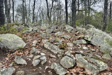 Rocky terrain with scattered boulders and fallen leaves, surrounded by leafless trees and greenery, under a cloudy sky. The Pip mountain bike trail.