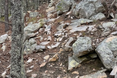 A rocky hiking trail winding through a wooded area, with scattered boulders and trees on either side. The ground is covered in a mix of dirt, rocks, and fallen leaves, leading up a gentle incline under a clear blue sky. The Pip mountain bike trail.