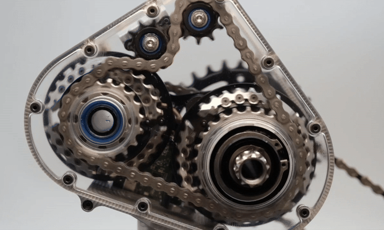 Close-up view of a complex mechanical gearbox assembly featuring interlocking gears and a chain. The assembly is partially transparent, showcasing the intricate details of the components including bearings, chains, and gear teeth, set against a light background.