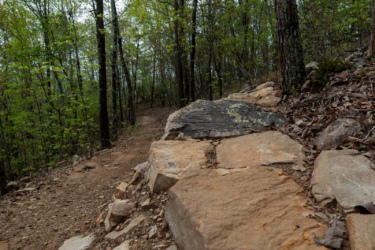 A rocky trail winding through a forest, surrounded by tall trees and green foliage, under a cloudy sky. The foreground features large stones among the dirt path, leading into the distance. Southern Traverse mountain bike trail.